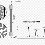 High Performance Liquid Chromatography